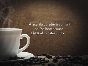 Caut colaboratori