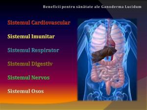 Suplimente alimentare cu Ganoderma