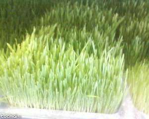 furaj verde eco