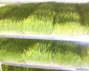 furaj verde eco