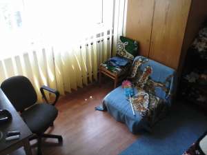 urgent vand