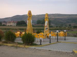 Vand benzinarie la E 60 in Iernut-Mures