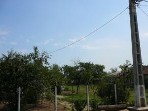 Teren intravilan ILFOV Afumati PETRACHIOAIA 500mp lot si curte 790mp