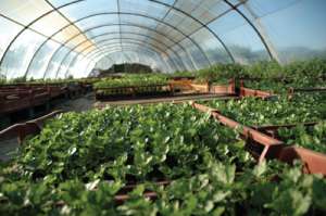 solarii ieftine pt agricultura