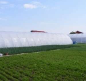 solarii ieftine profesionale pt legume sau flori