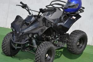 Model: ATV Renegade 125!