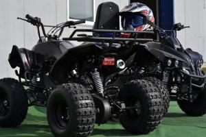 Model: ATV Renegade 125!