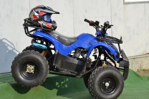 Model: ATV Grizzly R8 125!