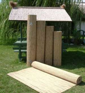 rogojini stuf, trestie pentru gard