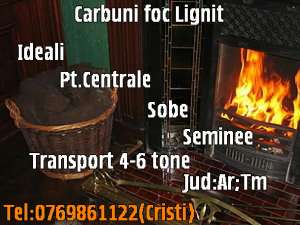 carbuni lignit de calitate