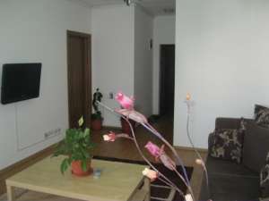 VIND APARTAMENT 2 CAMERE BUC NOI PARC BAZILESCU