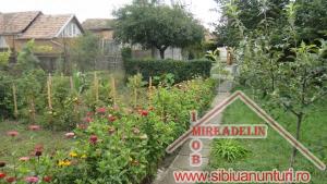VAND CASA 4 CAMERE,   TEREZIAN