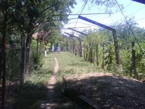 Casa si teren