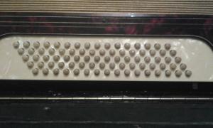VAND ACORDEON ROYAL STANDARD 80 BASI