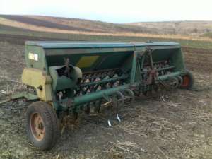 Vand semanatoare paiose sup 29