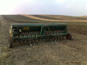 Vand semanatoare paiose sup 29