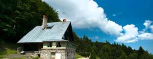 Cabana de vanzare la munte