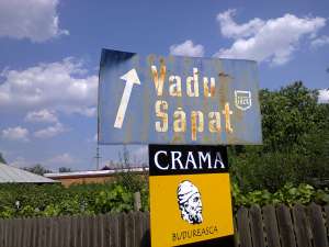 Vand struguri,  calitate deosebita,  pret convenabil!