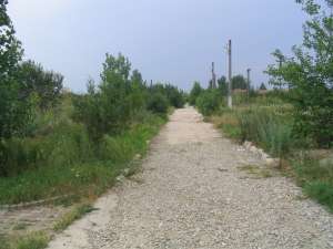 Vand 22 Ha INTRAVILAN zona Snagov - pretabil PARC FOTOVOLTAIC