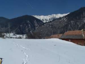 Vand teren in sat Magura jud Brasov