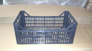 sc borbas.srl produce ladite fructe 2500 bucati pe zi dimensiuni 50cm lungime 30cm latime 20 cm anal