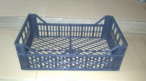 sc borbas.srl produce ladite fructe 2500 bucati pe zi dimensiuni 50cm lungime 30cm latime 20 cm anal