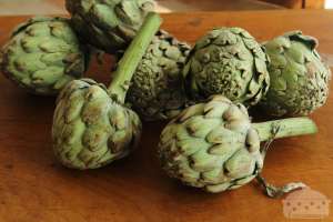 Seminte legume