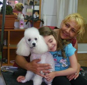 Curs de Toaletaj Canin si Felin