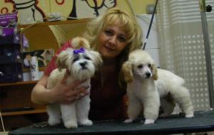 Curs de Toaletaj Canin si Felin