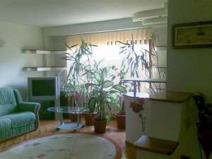 inchiriere ap. 3 camere