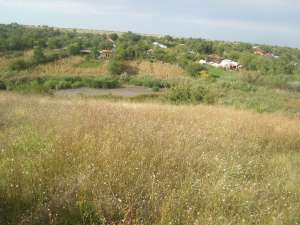 Vand Teren Intravilan 2500mp Sat.Tarnava Com.Botoroaga