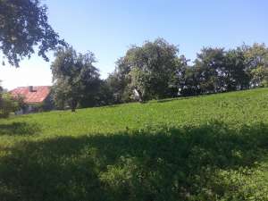 Casa in Patrauti