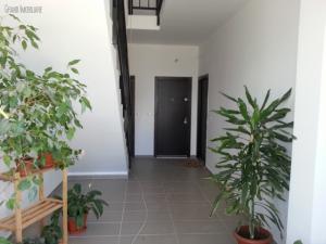 Apartamente noi Ghencea cu rate la dezvoltator