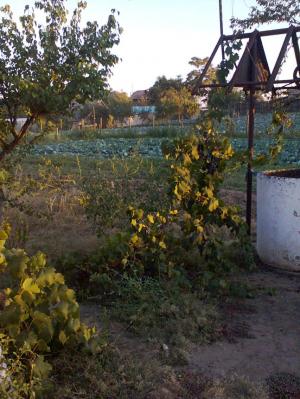 Vand casa+teren 2200 mp in Com.Calarasi,       sat Sarata,       jud.Dolj