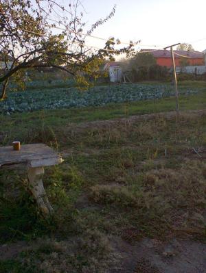 Vand casa+teren 2200 mp in Com.Calarasi,       sat Sarata,       jud.Dolj