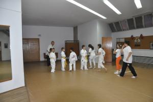 Karate pentru avansati si incepatori