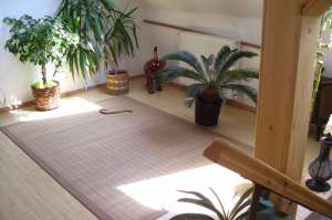 Casa lux de vanzare in rate Sibiu
