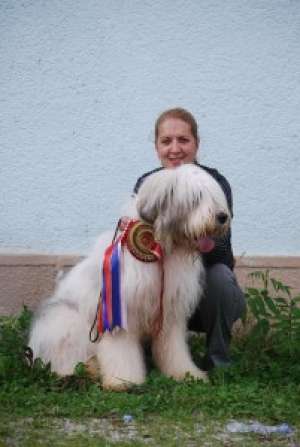 Pui Mioritic si Chow Chow