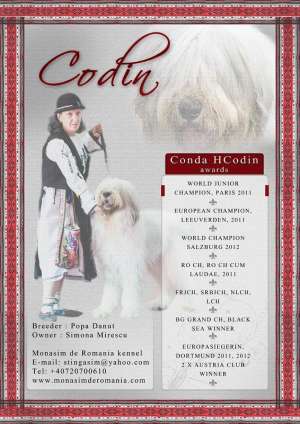 Pui Mioritic si Chow Chow
