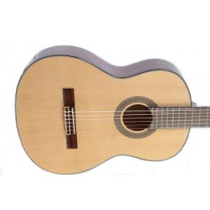 Chitara clasica Ibanez G100-NT