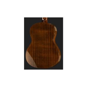 Chitara clasica Ibanez G100-NT