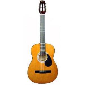Chitara acustica Flame CAG 100 WA