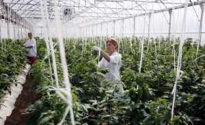 Munca in agricultura URGENT