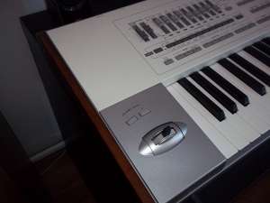 vand korg pa2x impecabil