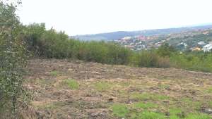 Teren intravilan,  Iasi,  Viticultori,  Copou,  1672 mp,  33 400 Euro neg