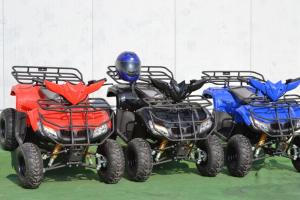 De Vanzare Atv Nou Bmw 2x4