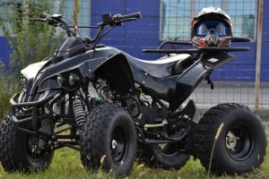 Vand Atv nou Renegade 125 cc