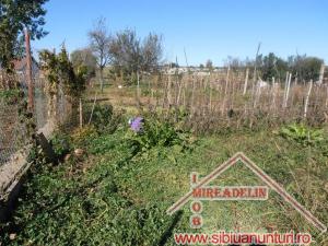 INCHIRIEZ CASA 2 CAMERE,   TURNISOR