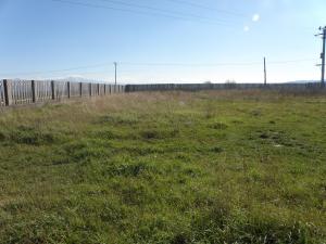 Teren intravilan imprejmuit,   1536 mp,   zona Halchiu - Satu Nou,   Brasov