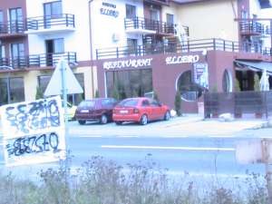 INTRAVILAN, SEDIUL R.A.R. BACAU, NARCISA